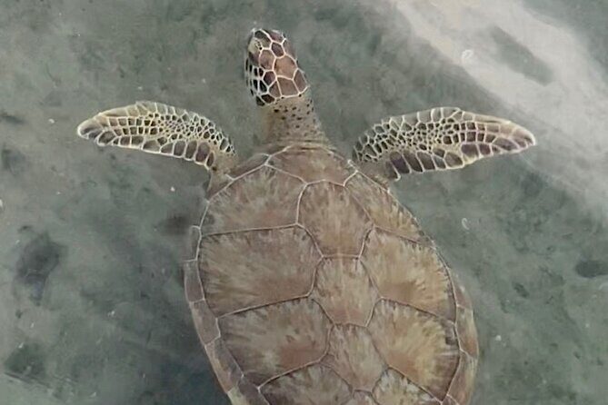 Lets Paddle! Jupiter & surrounding areas - Who Should Consider This Tour?