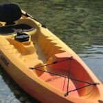 Liberty Bay Wildlife Kayaking - Final Thoughts