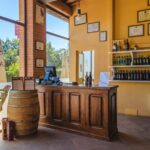 Light Lunch Tasting "Tosca" - Why This Experience Might Not Be for Everyone