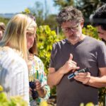 Lisbon: Carcavelos Vineyard Tour and Wine Tasting - Why You Should Consider This Tour