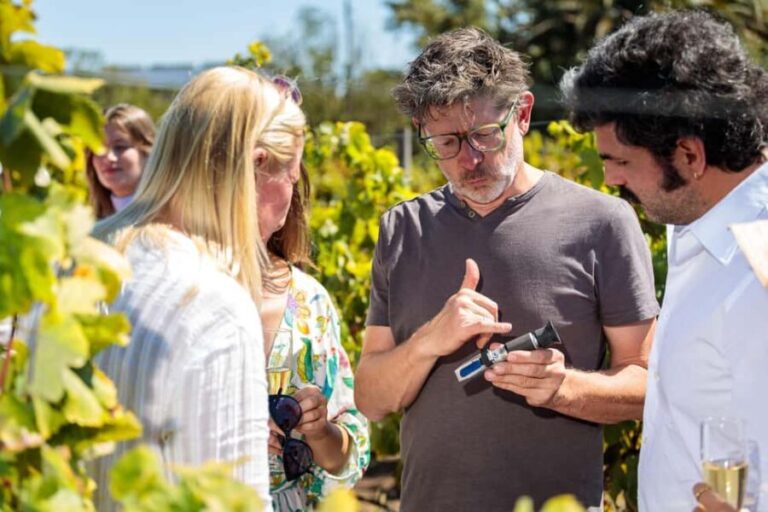 Lisbon: Carcavelos Vineyard Tour and Wine Tasting - Why You Should Consider This Tour