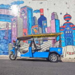 Lisbon: Tuk Tuk Tour of Belém Historic Area - Who Will Love This Tour?