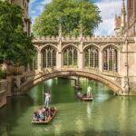 London: Cambridge Day Trip with Great St Mary's Church Tower - The Experience: Deep Dive