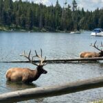 Lower Loop Hot Springs Geysers Private West Yellowstone - An In-Depth Look at the Yellowstone Private Tour