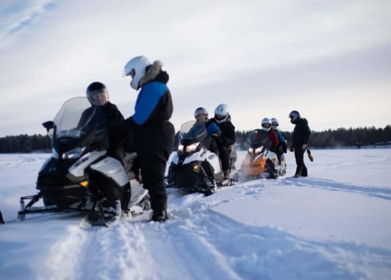 Luleå: Forest & Ice Snowmobile Tours (2 or 4 Hours) - What To Expect During the Tour
