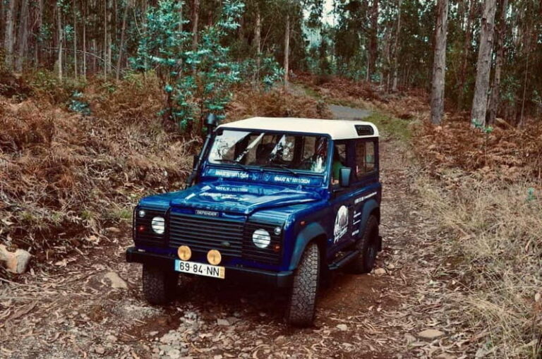 Madeira: Câmara de Lobos and Cabo Girão:Unforgettable adventure 4*4:duration3,5h - Why This Tour Offers Great Value
