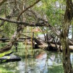 Magical Bacalar Full Day Tour - Transportation & Logistics