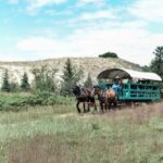 Manitoba: Horse-Drawn Wagon Ride in Spruce Woods Park - What to Expect from Your Wagon Ride