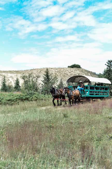 Manitoba: Horse-Drawn Wagon Ride in Spruce Woods Park - What to Expect from Your Wagon Ride