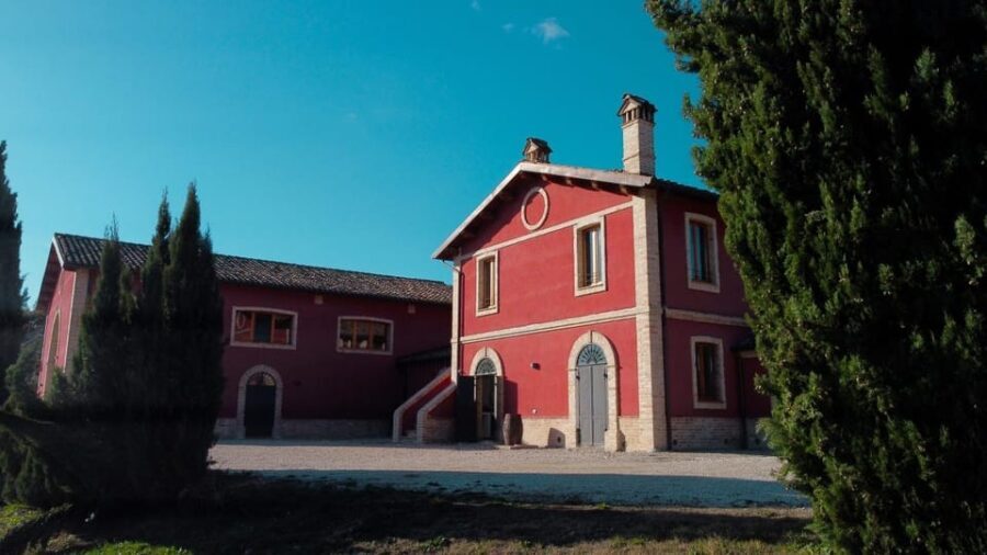 Marche: unique visit and tasting at D'Erasmo Winery among signature wines - Final Thoughts