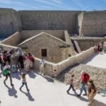 Marseille: Historical Tour of the Citadelle of Marseille - The Sum Up: Who Is This Tour Best For?