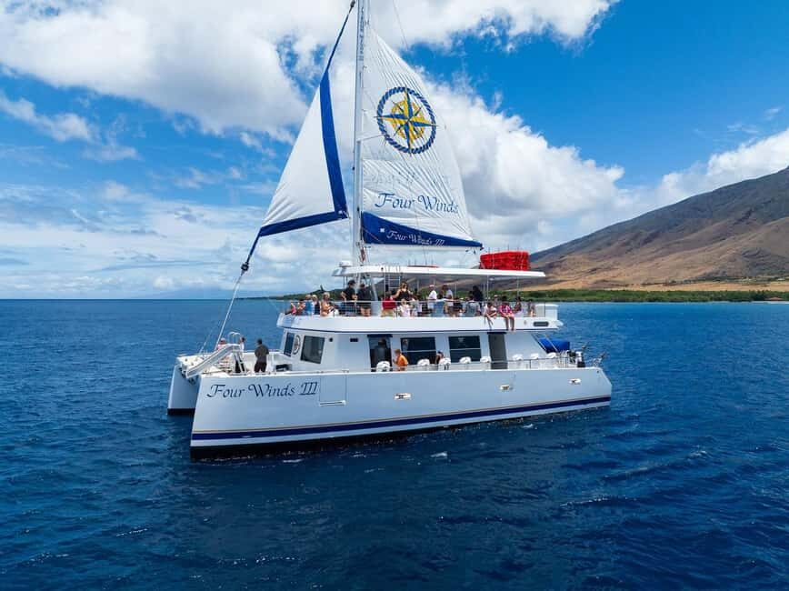 Maui: Snorkel Tour to Coral Gardens - Detailed Breakdown of the Itinerary