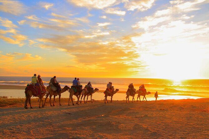 Maverick and RZR in the Beach and Desserts from Los Cabos - Who Will Love This Tour?
