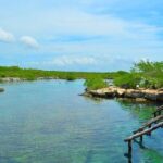 Mayan Adventure: Snorkel in Cove, Cenotes & Underground River - Who Is This Tour Best For?