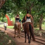 Mérida: Jungle & Cenotes Tour with Horseriding & Lunch - Who Will Love This Tour?