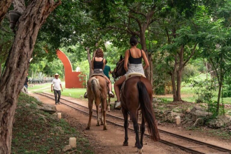Mérida: Jungle & Cenotes Tour with Horseriding & Lunch - Who Will Love This Tour?