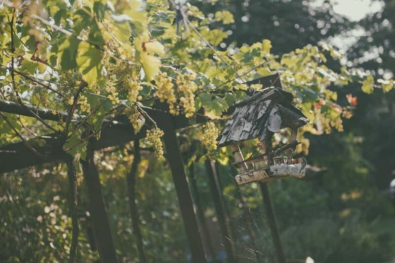 Modra: Private Wine Tasting at a Family-Operated Winery - Who Will Love This Experience?