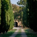 Montalcino: Vertical Tasting - The Experience: What You Can Expect from the Tour