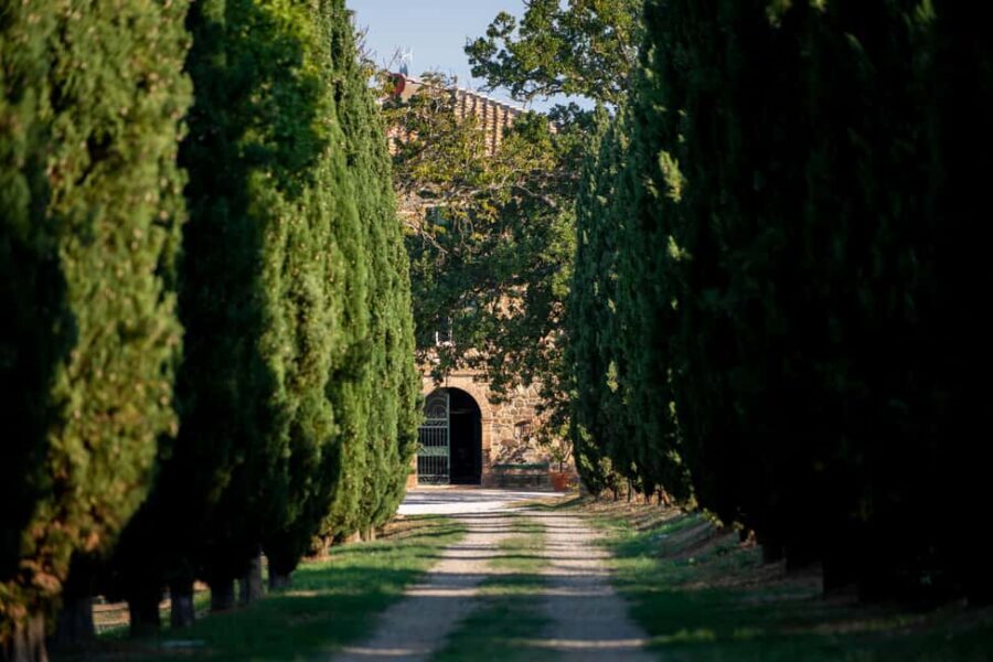 Montalcino: Vertical Tasting - The Experience: What You Can Expect from the Tour