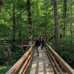 Montenegro Tour by train  Private tour - An In-Depth Review of the Montenegro Private Train Tour