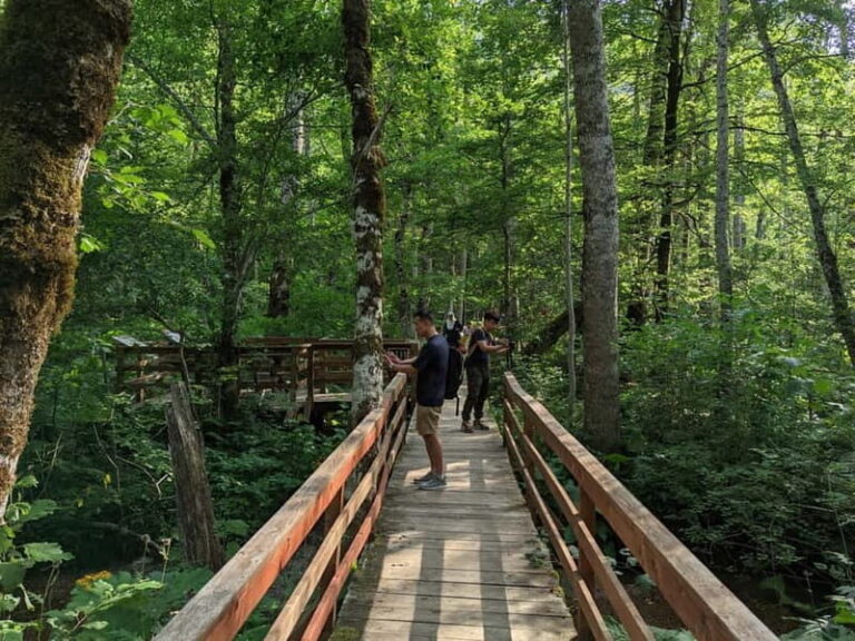 Montenegro Tour by train  Private tour - An In-Depth Review of the Montenegro Private Train Tour