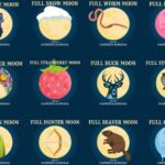 Murrells Inlet by Moonlight: Legends & Lores of the Inlet - Making the Most of Your Experience