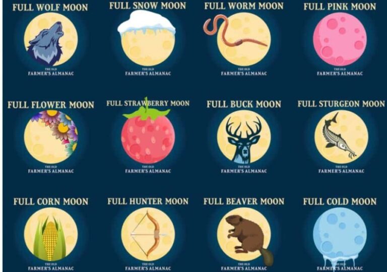 Murrells Inlet by Moonlight: Legends & Lores of the Inlet - Making the Most of Your Experience