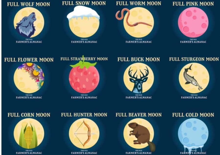 Murrells Inlet by Moonlight: Legends & Lores of the Inlet - Making the Most of Your Experience