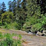 Nanaimo Urban Oasis Trail Walking Tour - Who Should Consider This Tour?