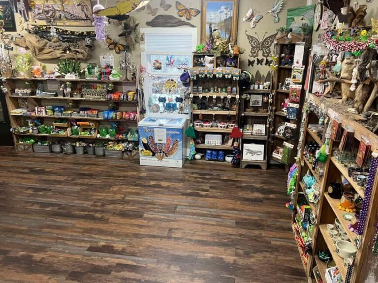 New Orleans Manchac Bayou Swamp Cruise W/ Optional Pick-Up - Possible Considerations