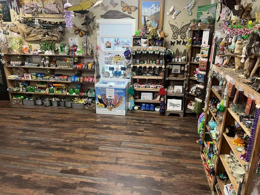 New Orleans Manchac Bayou Swamp Cruise W/ Optional Pick-Up - Possible Considerations