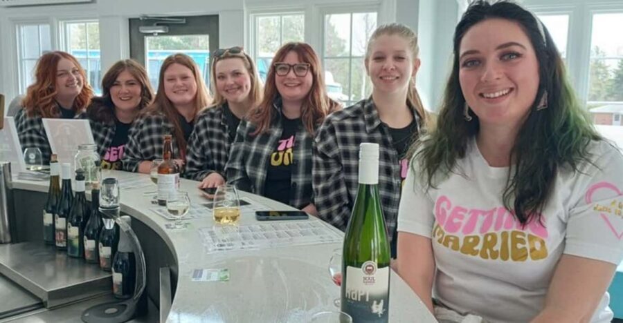 NON BUS Andie's VIP Traverse / Leelanau Peninsula Wine Tour - Tour Breakdown: What to Expect on the Leelanau Peninsula Wine Tour