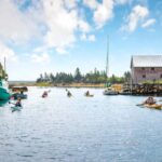 Nova Scotia: Guided Half-Day LaHave Islands Sea Kayak Tour - Who Should Consider This Tour?