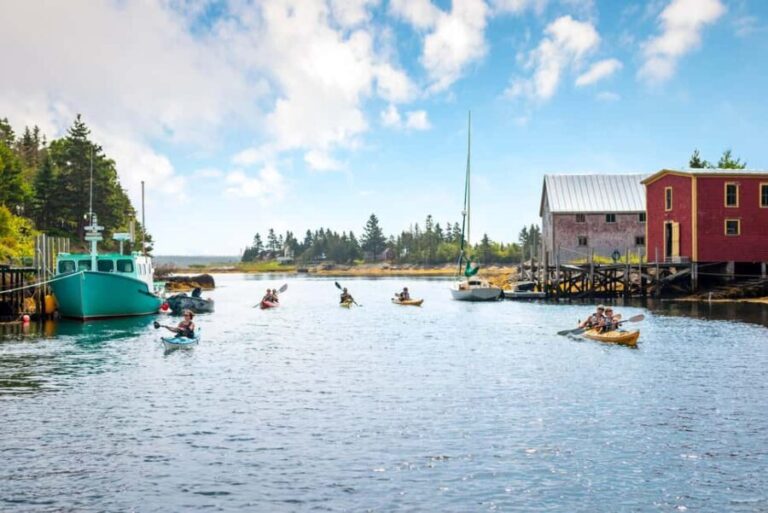 Nova Scotia: Guided Half-Day LaHave Islands Sea Kayak Tour - Who Should Consider This Tour?