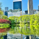 NYC: Central Park Pedicab Tour with Photo Stops - The Itinerary: What You Can Expect to See
