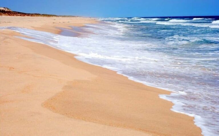 NYC: Hamptons Private Day Tour - Exploring Southampton Village: The Refined Hamptons