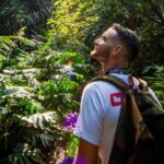 Oahu in a Day: Waterfall - Food Trucks - Lookouts - Small Crowds - What Sets This Tour Apart?