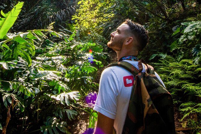 Oahu in a Day: Waterfall - Food Trucks - Lookouts - Small Crowds - What Sets This Tour Apart?