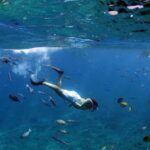 Oahu: Off road Stand-Up ATV and Sunset Snorkel Cruise - Practical Details and Tips