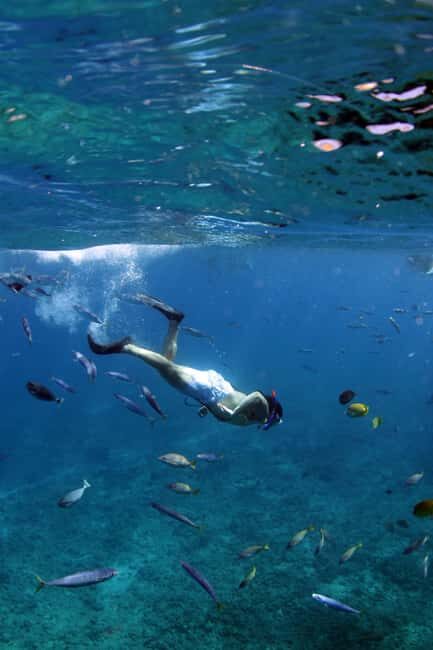 Oahu: Off road Stand-Up ATV and Sunset Snorkel Cruise - Practical Details and Tips