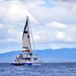 Oahu: Waikiki Whale Watching Cruise - An Overview of the Experience