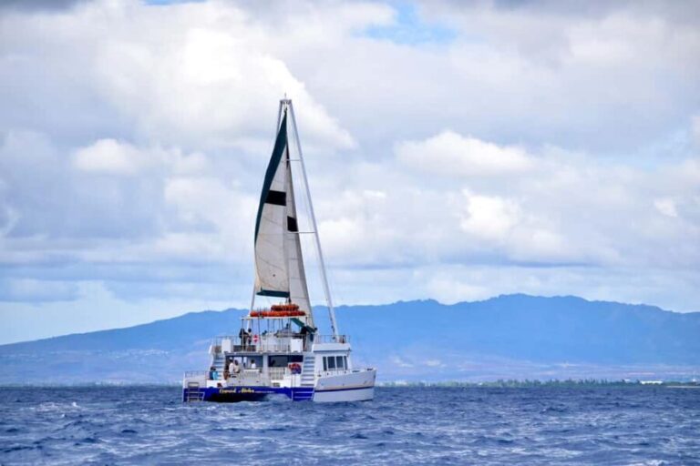 Oahu: Waikiki Whale Watching Cruise - An Overview of the Experience