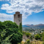 Old Town Bar, Old Olive Tree and the region of olive groves - The Old Olive Tree: A Living Monument
