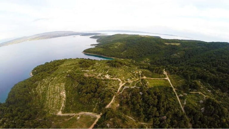 olta Island: Self-Guided Bike Tour - Who Should Consider This Tour?