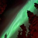 Open Fire Aurora Viewing and Snowshoeing Adventure in Whitehorse - Is This Tour Worth It?