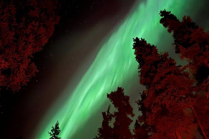 Open Fire Aurora Viewing and Snowshoeing Adventure in Whitehorse - Is This Tour Worth It?