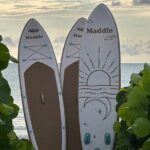 Paddle Board Picnic Peanut Island Palm Beach Singer Island - Authentic Experiences from Reviewers