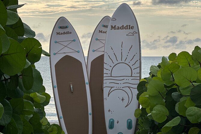 Paddle Board Picnic Peanut Island Palm Beach Singer Island - Authentic Experiences from Reviewers