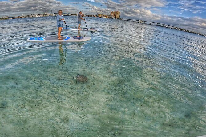 Paddle Boarding Activity to Peanut Island - The Experience: Why It’s Worth Considering