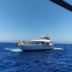 Paguera or Santa Ponsa: Speedboat Cruise to Palma - What’s Included and What to Expect